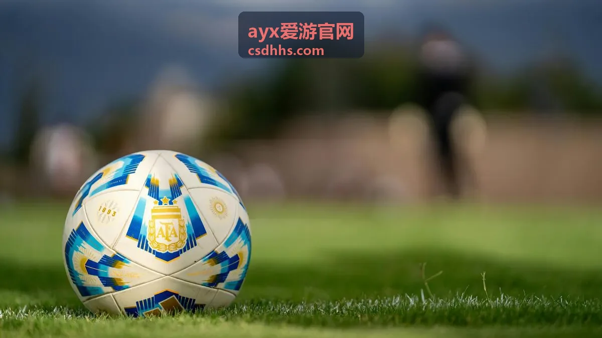 ayx爱游官网内容分类一览配图